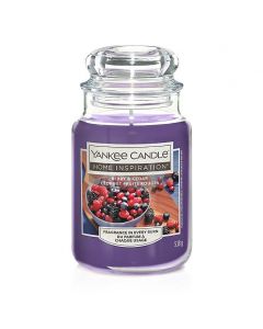 BERRY & CEDAR LARGE JAR YANKEE CANDLE 